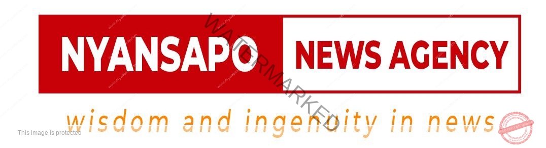 Nyansaponews.com